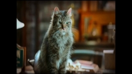 Scaredy Cats - Season 01 Episode 04